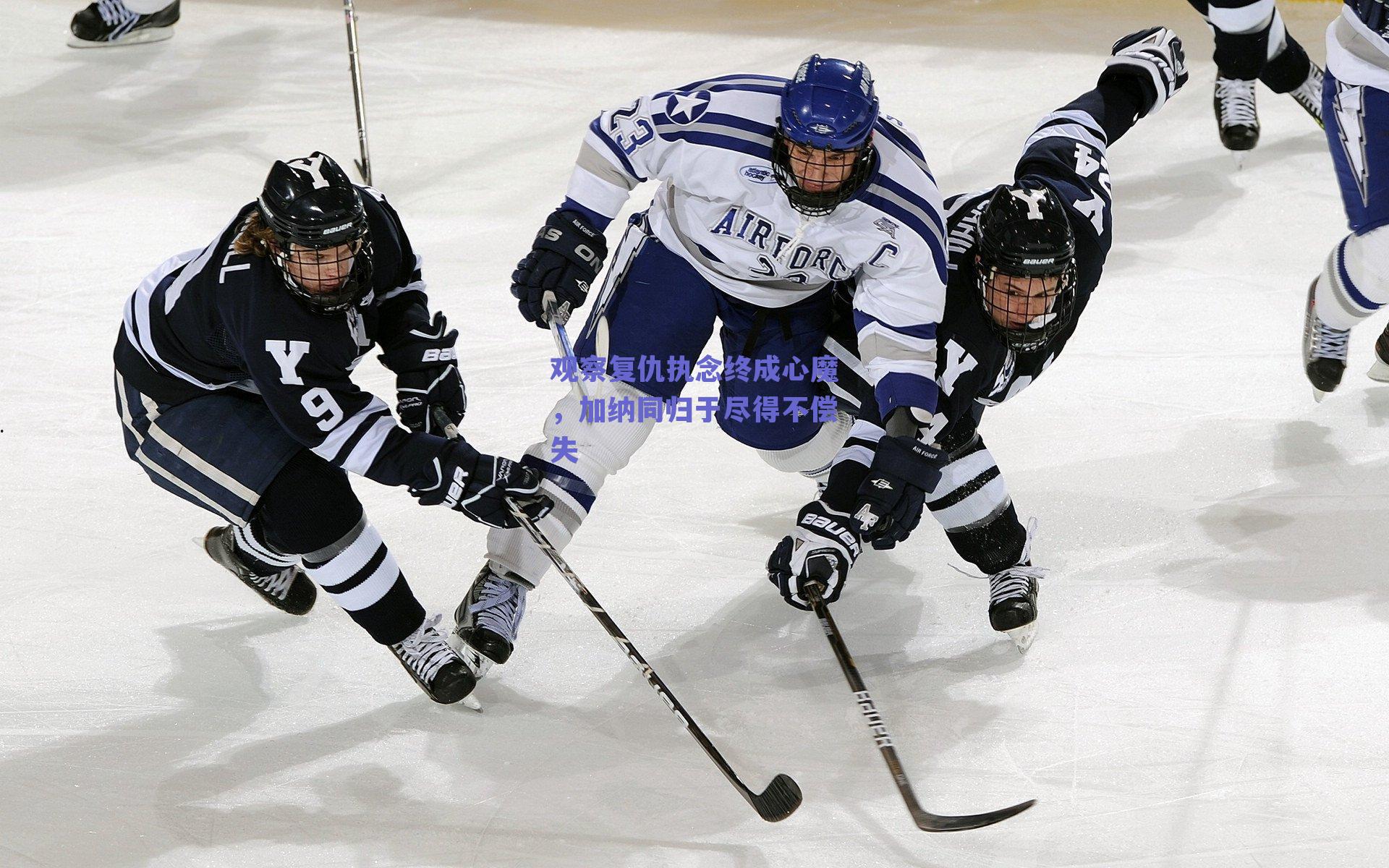观察复仇执念终成心魔，加纳同归于尽得不偿失