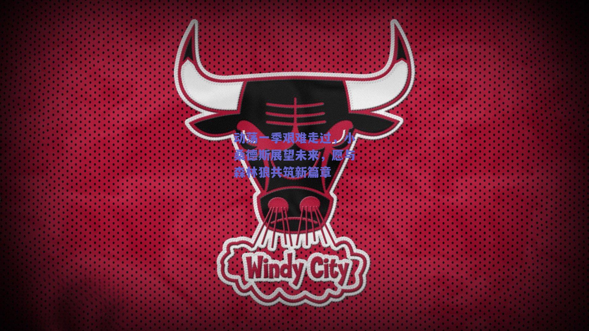 动荡一季艰难走过，小桑德斯展望未来，愿与森林狼共筑新篇章