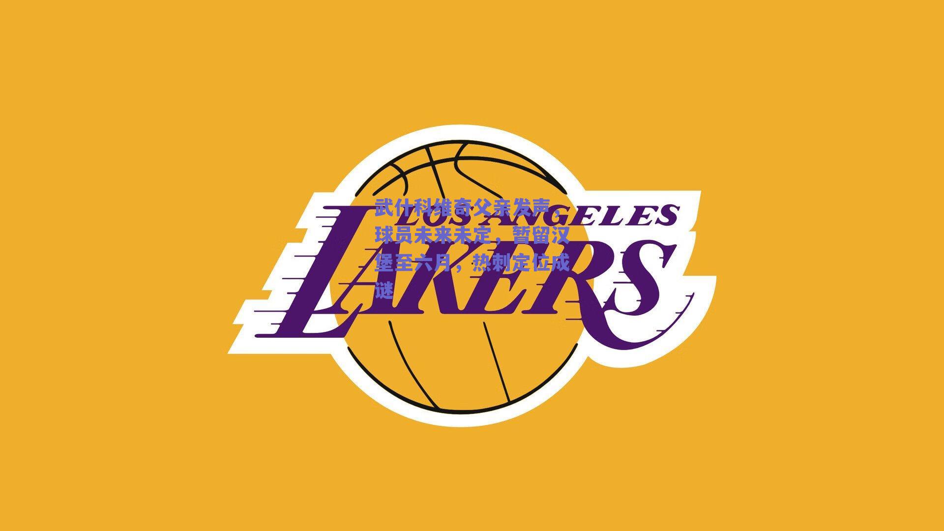 武什科维奇父亲发声，球员未来未定，暂留汉堡至六月，热刺定位成谜